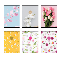 Zo�it A6 40 listov� Flowers 65710