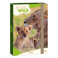 �kolsk� box A4 Lions