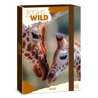 �kolsk� box A4 Giraffes