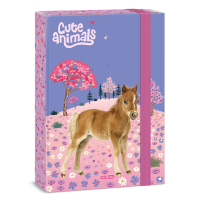 �kolsk� box A4 Horse