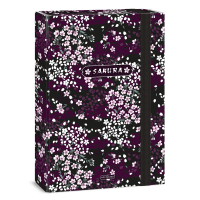 �kolsk� box A4 Sakura