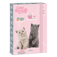 �kolsk� box A4 Tea Party