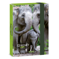 kolsk box A5 Serenity ELEPHANT ARS UNA