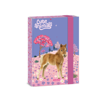 �kolsk� box A5 Horse