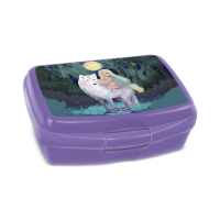 Box na desiatu Northern Lights