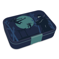 Box na desiatu delen� Ninjas in the dark